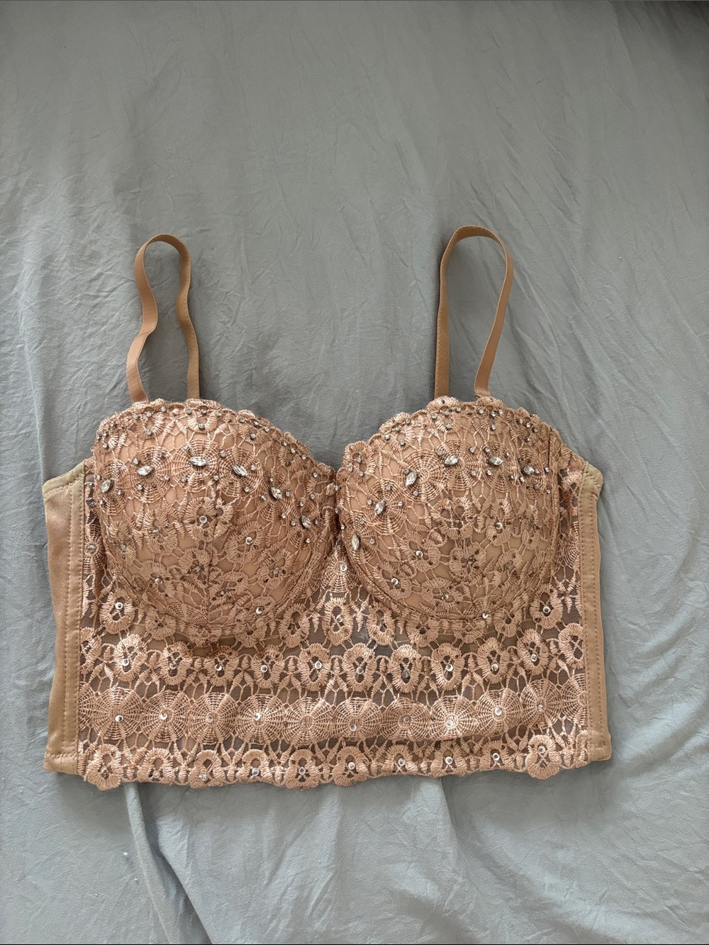 Windsor Beige Lace Longline Bustier Bra with Embellishments